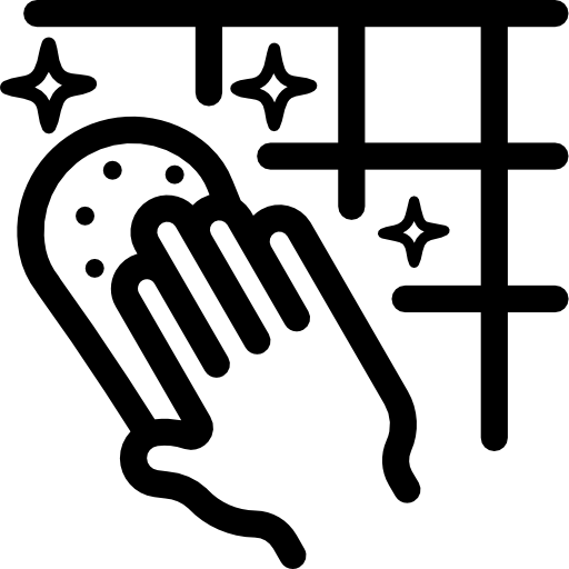 Limpieza-profesional